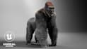 create 3d animal model pet, creature with realistic fur, xgen hair and texture