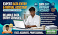 do fast data entry, excel data copy paste, and website research