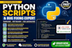 python scripts and fix bugs or errors