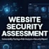do professional web security and vulnerability assessment