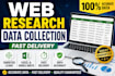 do web research, data collection and data entry