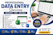 do professional data entry and virtual assistance services