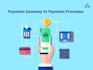 develop payment gateway, payment processor, crypto processor, 2d, 3d psp system