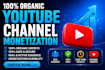 provide youtube channel monetization service