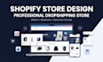 a professional shopify dropshipping store