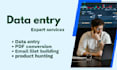 do fastest data entry in low price