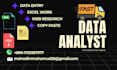 do fast excel data entry and web research