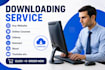 do professional upload and download service