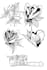 custom tattoo art ,fine line, old school, neotraditional