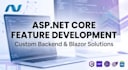 develop custom asp net core features for your application