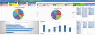 create a professional excel or power bi dashboard
