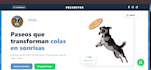 build your profesional web site in react and nextjs