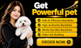 build powerful backlinks for high authority pet blog