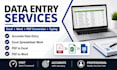 data entry, excel, typing and PDF conversion