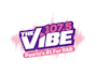 create attractive and imagination radio logo design