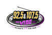 create creative and good looking radio logo design