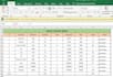 do accurate ms excel data entry and formatting