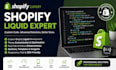 fix shopify bugs, liquid errors and custom coding, theme customization