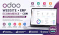 build odoo website erp ecommerce and CRM solution