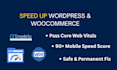 speed up wordpress and woocommerce performance to pass core web vitals