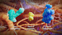 create 3d medical animation moa pharma biotech molecular explainer video