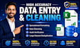 do accurate data entry, data cleaning and audit verification