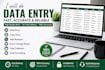 do fast and accurate data entery copy paste