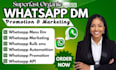 do whatsapp marketing, bulk messaging and business promotion