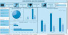clean excel data and create a professional dashboard