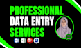 be professional data entry operator