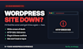 fix wordpress bugs and error