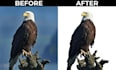 professional background removal and transparent png
