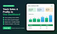 create a professional excel dashboard to track your sales and profits