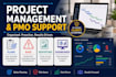 project management, pmo support, data analysis and dashboard