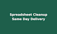 clean a messy spreadsheet and send it back the same day