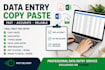 do simple online tasks and data management