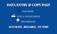 do accurate data entry copy paste and web research