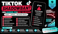fix tiktok shadow bans, tiktok appeal, fix shadowbans issues with diagnose audit