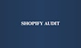 audit your shopify store