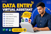 be an admin virtual assistant data entry web research data mining online works