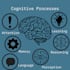 do cognitive test for you