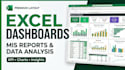 create a professional excel dashboard and mis report