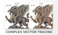 do complex vector tracing and raster to vector conversion