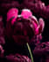 do 3d flower animation 3d jewelry animation 3d plant animation and rendering