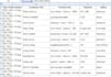 clean and format data professionally and clean messy data