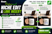 do niche edits and manual link insertion on websites