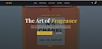 create a modern mobile friendly website for you