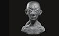 3d head bust and leg