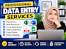 provide fast data entry, and excel data entry, services