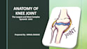 create professional medical powerpoint presentations